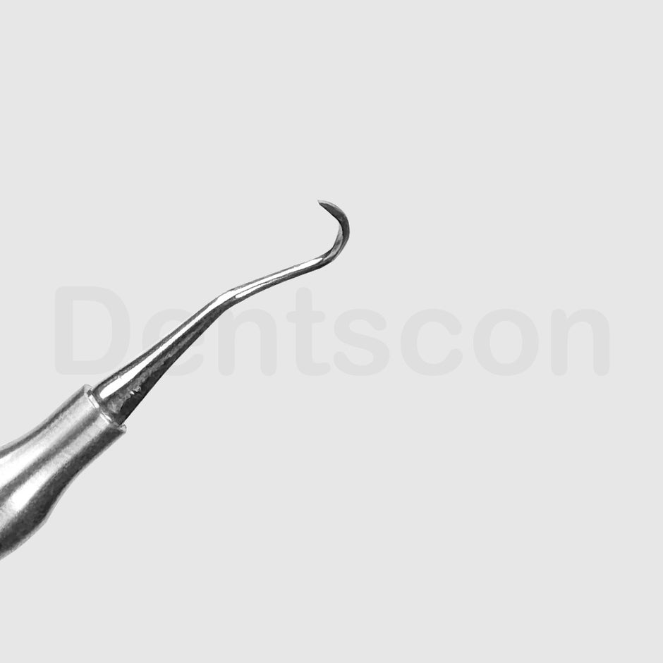 H6/H7 Hygienist Scaler