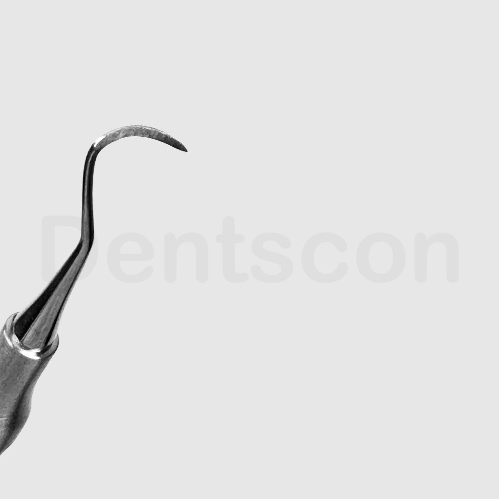 H6/H7 Hygienist Scaler